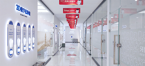 ����ʿ����